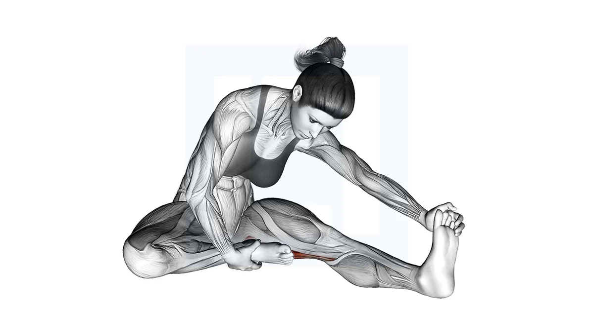 کشش عضلات پشت ران (همسترینگ)