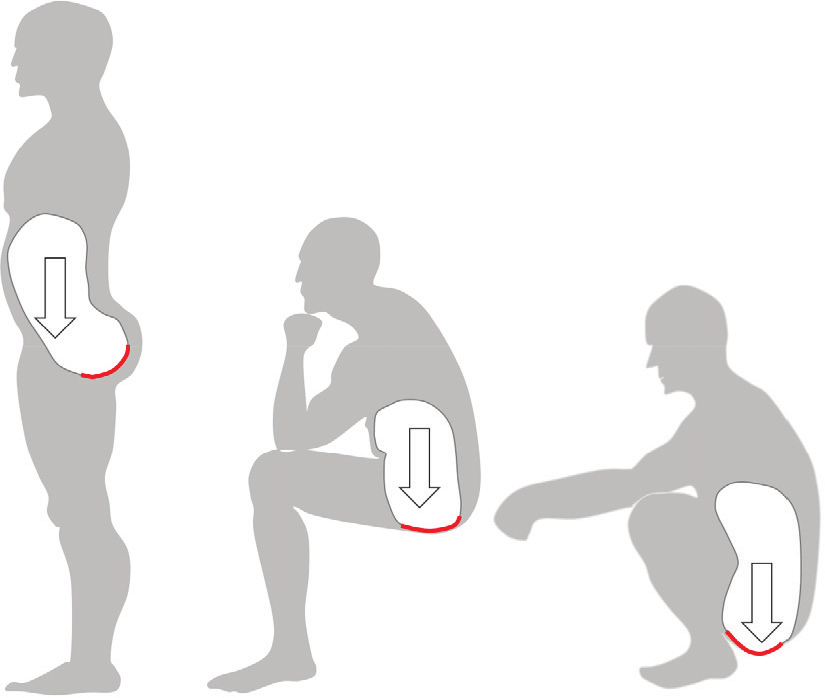 تمرینات نشسته یا ایستاده