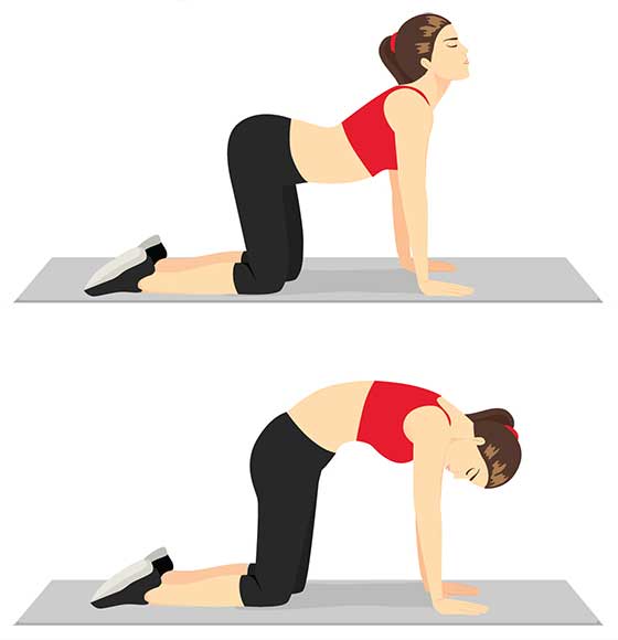 تمرینات پیلاتس و یوگا - کت-کاو