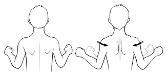 عقب کشیدن کتف