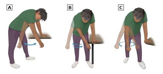 ورزش فیزیوتراپی شانه - حرکت پاندولی دست