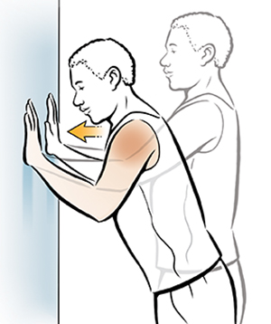 ورزش فیزیوتراپی شانه - شنا دیواری